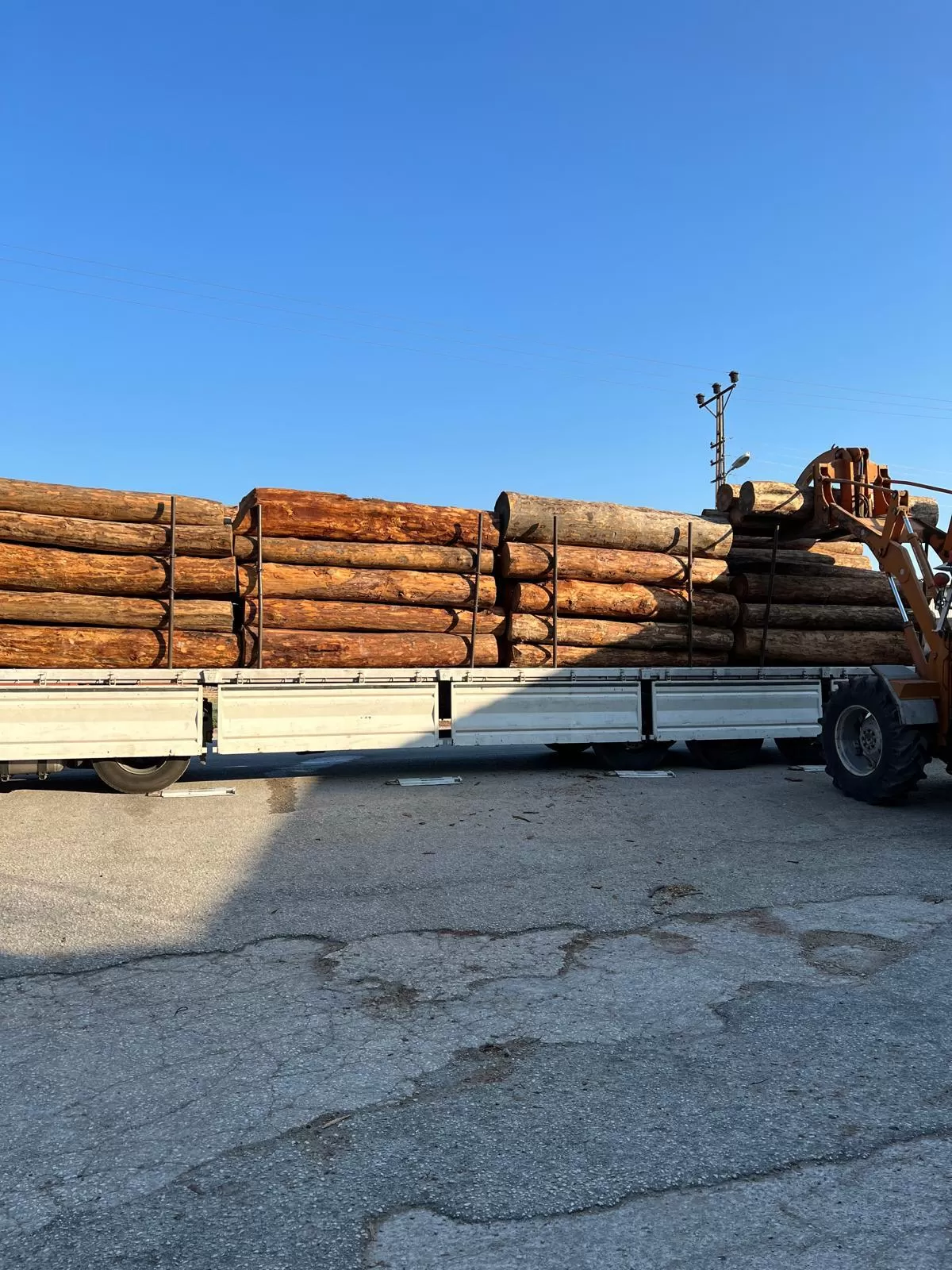 defne_orman_urunleri_kereste